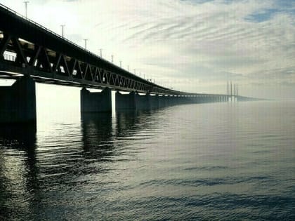 В Приамурье по новому мосту Джалинда – Мохэ можно будет перевезти от 20 до 40 миллионов тонн грузов за год