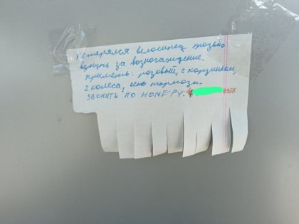 Повод для расклейки, действительно, важный: мэр Благовещенска рассказал о детях, клеивших объявление на остановке