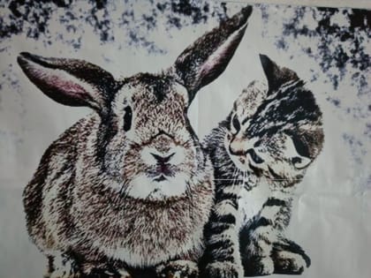 Буддийские монахи пророчат в 2023 году стабилизацию и всевозможные соединения