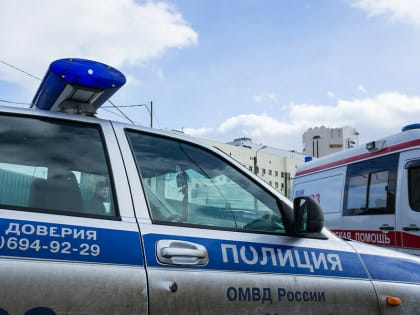 Пенсионера подозревают в изнасиловании 17-летней девушки с особенностями здоровья