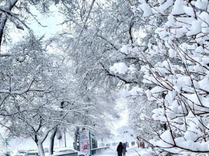 Экстренные службы: важная информация для жителей