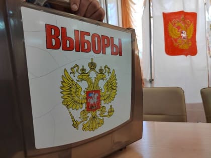 Избирателей стало больше в трех муниципалитетах Амурской области