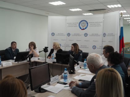 Налог на профессиональный доход и дробление бизнеса обсудили на Общественном совете при УФНС России по Амурской области