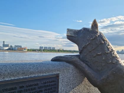 Ливни ночью и солнце днем: погода в Приамурье 2-го августа