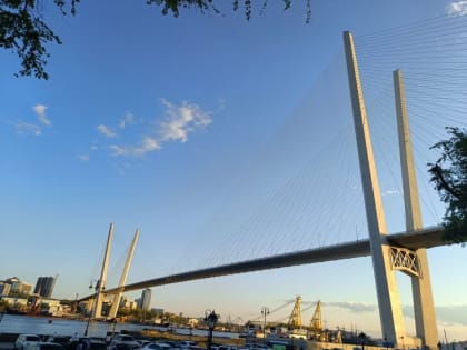 Рейтинг достижений Дальнего Востока и Амурской области представил известный политолог