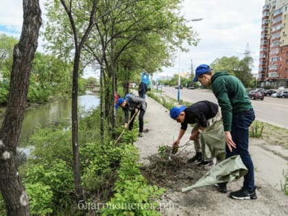 В Благовещенске пройдет очередной этап очистки реки Бурхановки