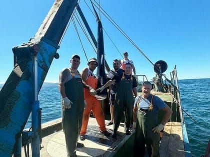 В дальневосточных водах поймали двух акул