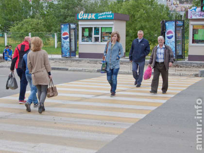 В Приамурье доля среднего класса с зарплатой от 73 тысяч рублей составляет 7 %