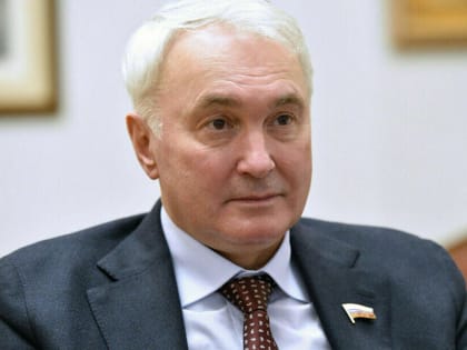 Новой мобилизацией и не пахнет, заявили в Госдуме