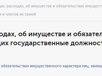 Амурчане больше не будут знать размер доходов и перечень имущества членов амурского правительства и других властей