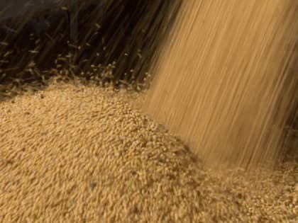 Приамурье лидирует в ДФО по производству сельхозпродукции