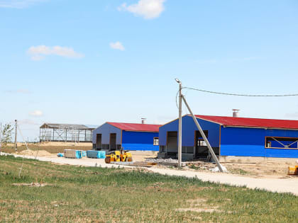 Первую очередь новой мегафермы в Амурской области сдадут в июле (фото)