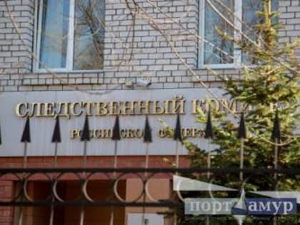 СК начал проверку после отравления посетителей в благовещенских точках с шаурмой