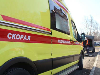 Смертельно опасные клещи готовятся к пробуждению в Амурской области