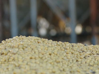 Сотрудницу Благовещенского таможенного поста подозревают в халатности