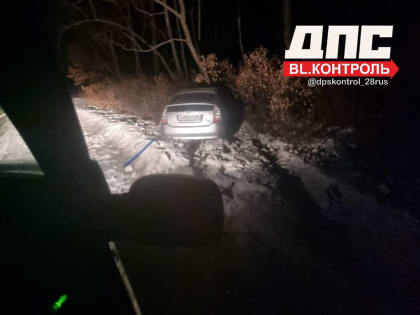 Ночью на трассе Благовещенск-Свободный был обнаружен въехавший в дерево автомобиль