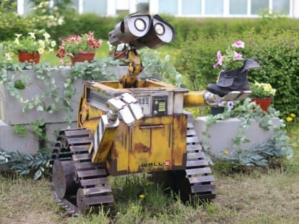 В рамках фестиваля «Город в цвете» благовещенцев бесплатно научат создавать цветники