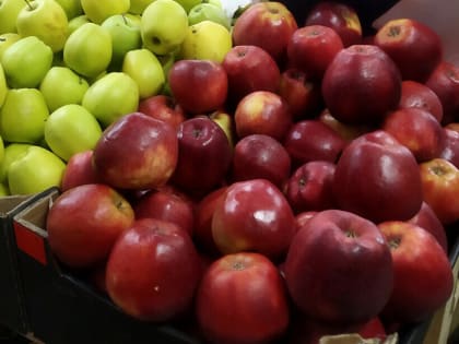 Ягоды и фрукты в Благовещенске продавали без документов