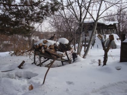 Трехсвятие, Васильев день отмечается 12 февраля