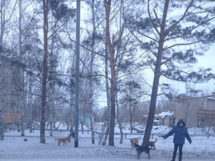 «Добрые поступки»