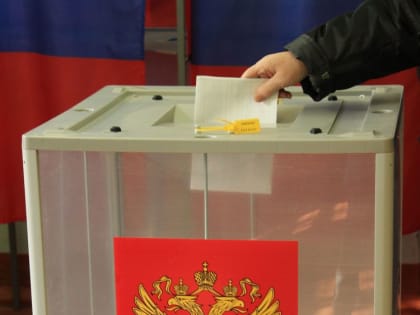 Весной в Тынде пройдут досрочные выборы мэра