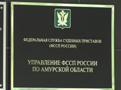 10-летний амурчанин получил необходимые медизделия под контролем приставов