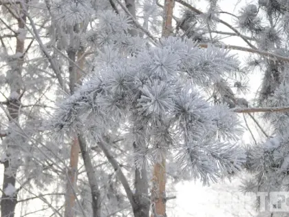 Тепло на полюсе холода: Якутия и дожди на Курилах