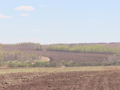 Получить землю в аренду у государства стало проще в Приамурье