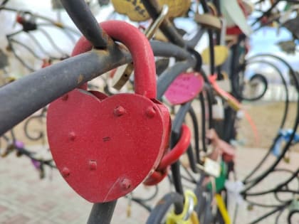 Свадьбы не будет: благовещенцы не хотят регистрировать браки 14 февраля