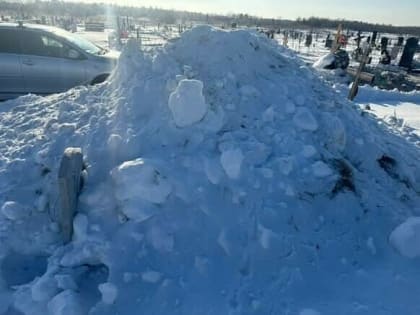 «Я просто был в шоке»: благовещенец приехал на могилу матери и не узнал ее