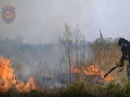 С 1 мая в Амурской области не могут потушить пожар. На помощь приехали сотрудники из Хакасии