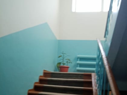 В Моховой Пади собираются сносить несколько ДОСов. Демонтировать один из них обязали самих жителей