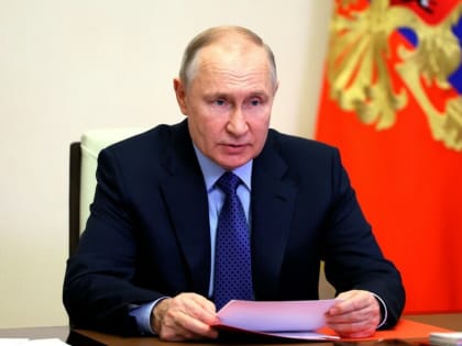 Путин поручил оптимизировать экспертные советы в органах власти и госкорпорациях