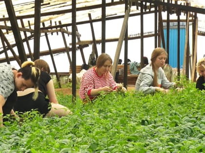 Амурские предприниматели предоставляют рабочие места студентам и школьникам