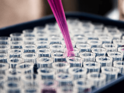 Учёные Дальневосточного федерального университета нашли персонифицированный подход к лечению рака мозга