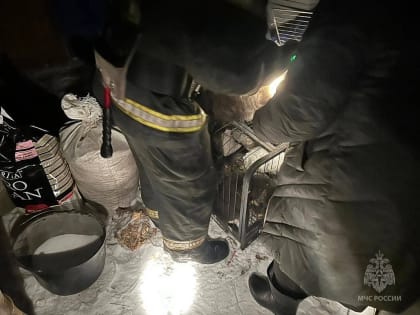 В Чигирях при пожаре спасли четырех собак и около 30 кошек