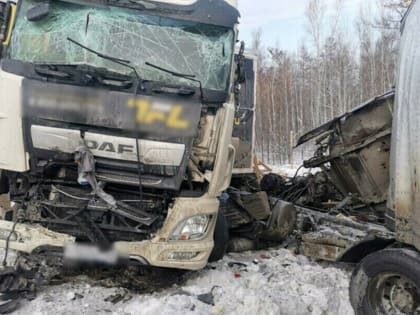 Превышение скорости и обгон несут смерть: в Приамурье власти озадачены снижением аварийности на дорогах