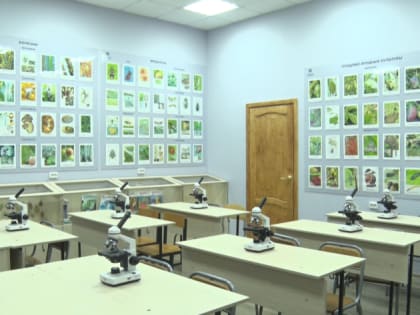 Благовещенские школьники смогут посещать занятия в ДальГАУ