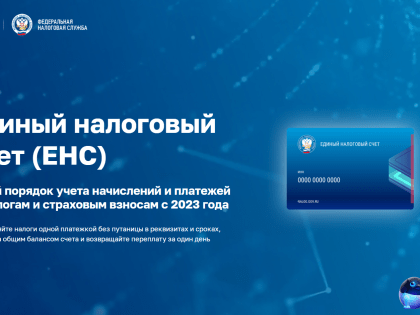 На вопросы про особенности процедуры взыскания задолженности в 2023 году в рамках внедрения ЕНС ответили специалисты УФНС России по Амурской области