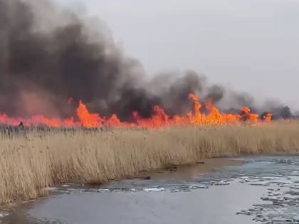 Василий Орлов поручил отстающим территориям ускорить подготовку к пожароопасному сезону