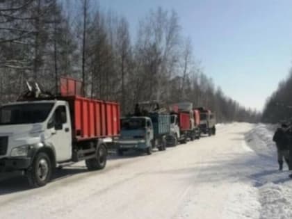 В Зее перестали вывозить мусор: для него нет места. Мусоровозы встали