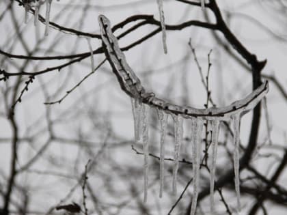 Василий Капельник: «Придет Василий - и зима заплачет»