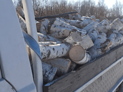 Заготовить дрова в обход закона амурчане попытались в канун Рождества