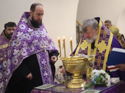 Архиепископ Лукиан совершил молебен с акафистом Божией Матери у Ее чудотворного Албазинского образа