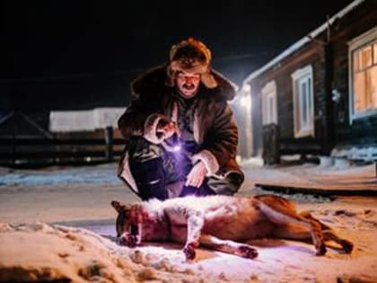 «От жалости до ненависти и обратно»: в прокат выходит триллер «Бешенство», основанный на событиях в Приамурье