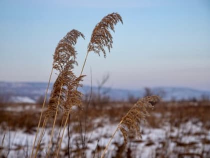 В Приамурье усилится ветер и пройдет снег