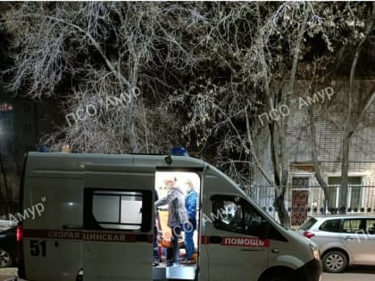 Благовещенка вышла прогулять собаку и реанимировала мужчину