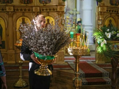 Православные христиане встречают Вербное воскресенье