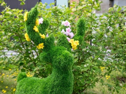 Создавать «Город в цвете» пока решили 11 благовещенцев. Куда подавать заявки