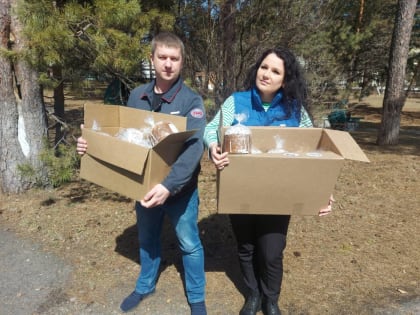 Военнослужащим в госпитале Белогорска передали пасхальные куличи